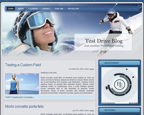 free wordpress theme Skiing WP Theme