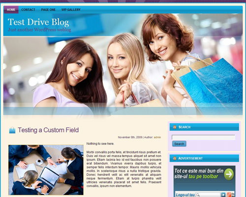 free wordpress theme Shopping Spree