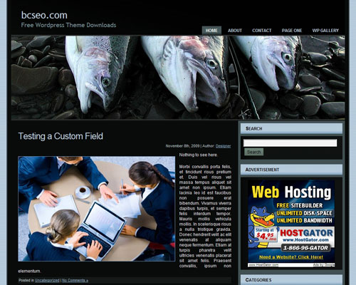 free wordpress theme Salmon Fishing Theme 1