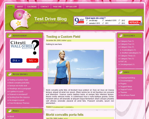 free wordpress theme Franchise Opportunities WP 1