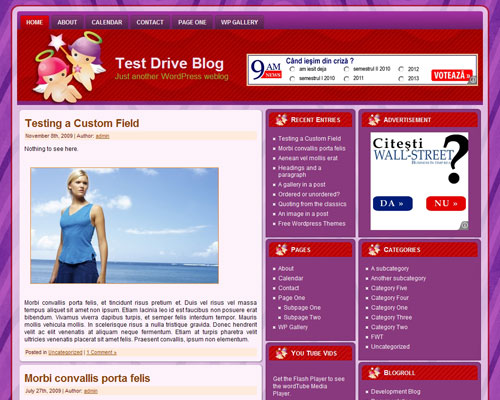 free wordpress theme Franchise Opportunities WP 2