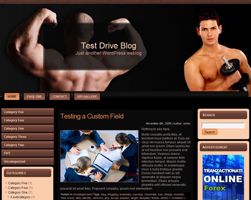free wordpress theme Bodybuilding WordPress Theme