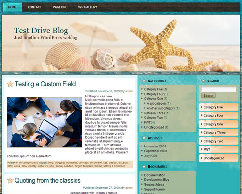 free wordpress theme Hot Summer Theme