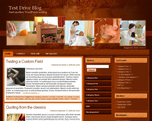 free wordpress theme Health Care WP