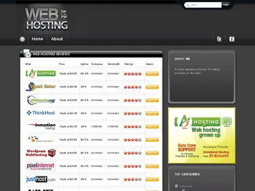 Top 10 Hosting Theme