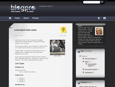 Pro Blogger Theme