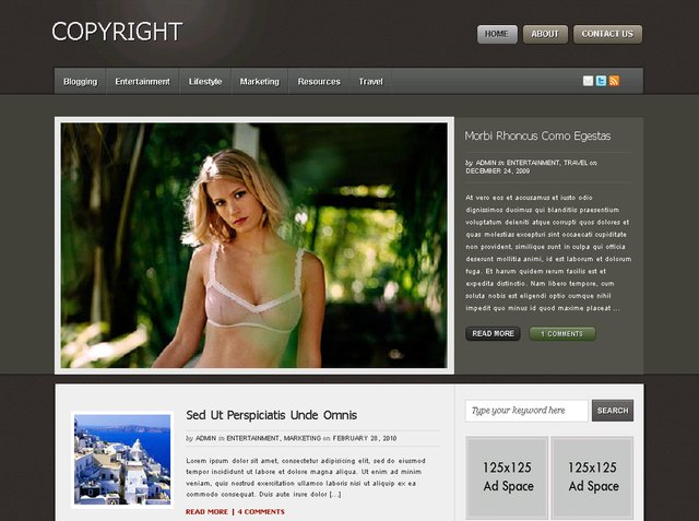 free wordpress theme Copyright Theme
